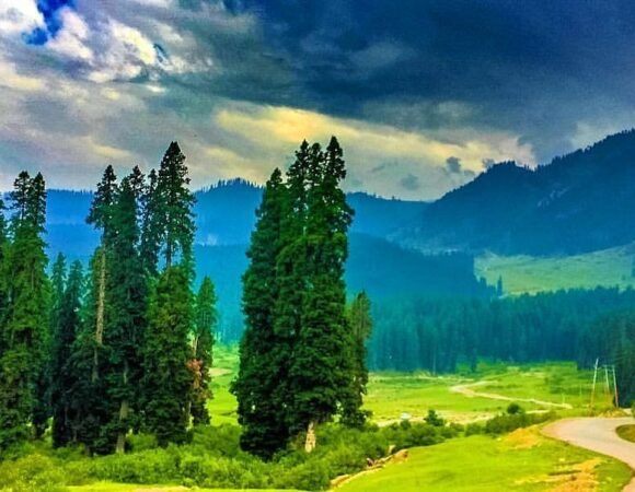 Kashmir 3 Days 4 Nights